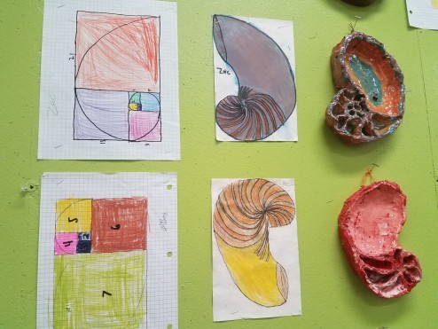 6th Grade creates nautilus drawings and sculptures based on their study of Fibonacci's number sequence