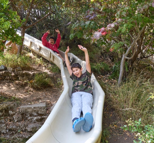 Where Learning Meets Adventure