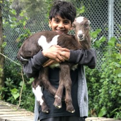 Goat hugs!