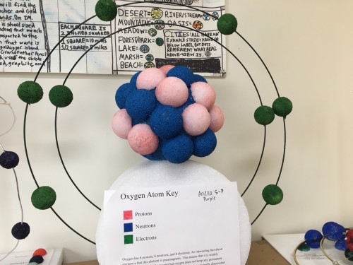 Middle School Students Create Models of Cells and Atoms · San Francisco  School