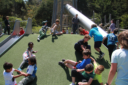 Redwood Grove Playground